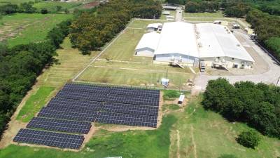 CMI instaló 3,612 paneles solares en cuatro operaciones avícolas en Honduras: dos granjas, una incubadora y una planta de procesamiento, los cuales ayudarán a evitar la emisión anual de 577 toneladas de CO2.
