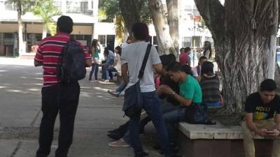 Las clases iniciaron hoy a nivel nacional en los centros de la Unah.