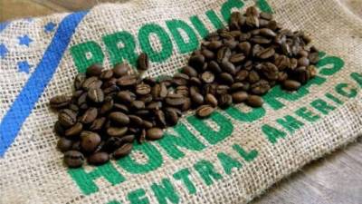 Granos de café hondureño | Imagen de referencia