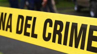 Un hombre en Nueva York, Estados Unidos, llamó al 911 para pedir ayuda mientras, según las autoridades, su propio hijo lo atacaba con un cuchillo dentro de su apartamento.