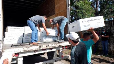 Las 886 urnas se comenzaron a bajar de los contenedores apenas llegaron el martes, trabajo que fue suspendido por la lluvia y que continuó ayer miércoles.