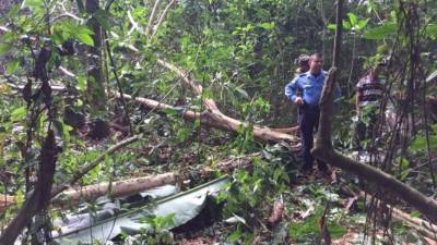 El hecho sucedió en una zona boscosa ubicada en el municipio de El Porvenir.
