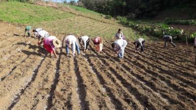 Cosechadoras de agua y proyectos en el agro son algunos de los apoyos a los hondureños.