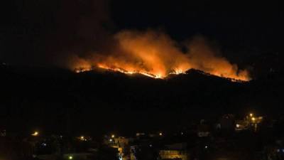 Unas 400 hectáreas de bosque fueron consumidas por el incendio.