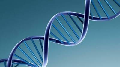 Una nueva prueba genética podría ayudar a medir las probabilidades de enfermedades.