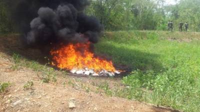 Las autoridades quemaron los 378 kilos de cocaína incautada el pasado 29 de junio.