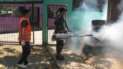Elementos de la 105 Brigada fumigan en la 14 de abril I.