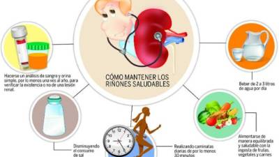 Mantenga unos riñones saludables con buenos hábitos.