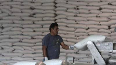 Sequía afecta a sector azucarero hondureño.