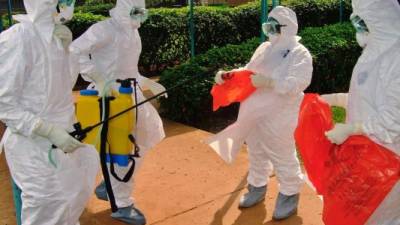 La OMS anunció que el número de infectados y muertos por ébola en África ha aumentado en los últimos días.