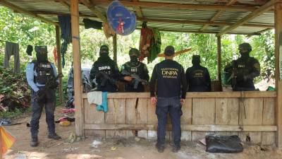 Agentes antidrogas de Honduras localizaron este martes 90.000 arbustos de hoja de coca durante una operación policial en el Caribe del país, donde también incautaron un laboratorio para procesar drogas, informó una fuente oficial.