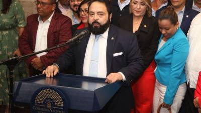 Luis Redondo, presidente del Congreso Nacional.