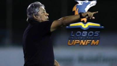 Ramón ‘Primitivo‘ Maradiaga tomará el cargo en la dirección técnica de los Lobos de la UPN.