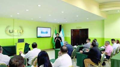 <b>Diana Rubio, experta en neurociencia, durante una conferencia a docentes.</b>