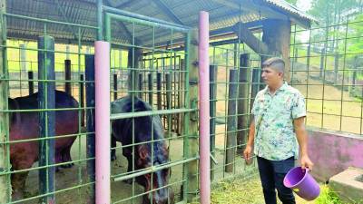 La crisis por falta de presupuesto del zoológico Joya Grande en Cortés refleja la deficiente administración de los bienes incautados a narcotraficantes, lavadores y exfuncionarios corruptos.