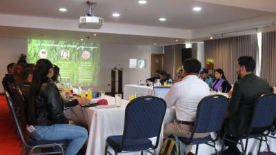 La presentación de una nueva plataforma digital y de un estudio inédito volvió a colocar en el centro del debate la situación de quienes defienden el ambiente en Honduras.