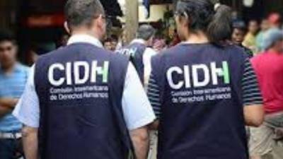 La Comisión Interamericana de Derechos Humanos (CIDH).