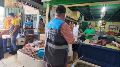 Las instituciones públicas han habilitado líneas de emergencia y denuncia para que la ciudadanía pueda informar sobre abusos en el transporte público, irregularidades en los precios de servicios y productos de consumo, así como reportar emergencias y recibir auxilio con prontitud.