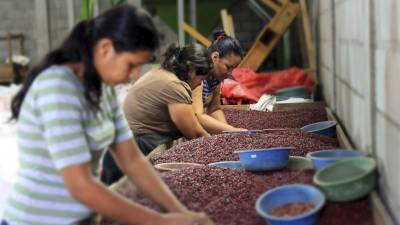 Las familias serán beneficiadas por medio del proyecto ComRural II, con recursos financieros para fortalecer sus unidades productivas y la competitividad de las mismas; se mejorará sus ingresos familiares y calidad.