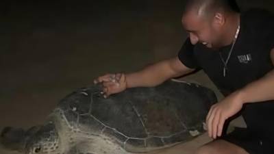 Un video grabado en una reserva natural de Omán desató una ola de críticas en redes sociales después de mostrar a un influencer ucraniano y a su pareja manipulando tortugas marinas durante una jornada de anidación. Las imágenes provocaron la reacción de organizaciones dedicadas a la protección de la fauna y derivaron en una investigación oficial.