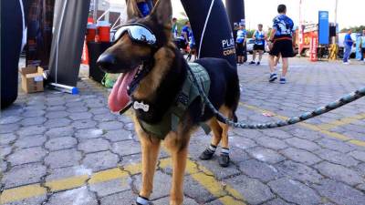 Shester fue la gran sensación en el segundo bootcamp de la Maratón de Diario La Prensa.
