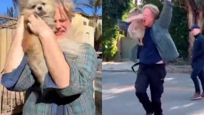 El emotivo momento, capturado en video, muestra al hombre abrazando a su mascota entre lágrimas y gritos de alegría.