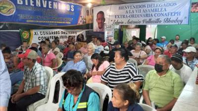 Patronatos realizaron una asamblea ayer para abordar trabas que gobierno y alcaldía les están poniendo para ser inscritos como patronatos reconocidos.