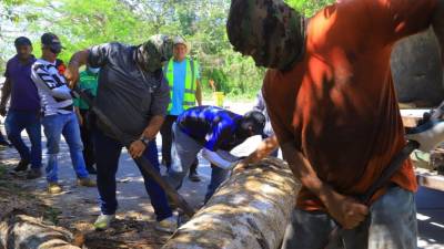 La Policía Municipal decomisó la madera de color con que se desarrollaban productos en las inmediaciones del bordo del río Santa Ana.