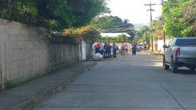 El crimen ocurrió en la mañana de este jueves en el barrio El Porvenir de Puerto Cortés.