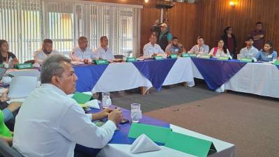 El ICF realizó la primera mesa interinstitucional donde participaron representantes de varias institutciones.