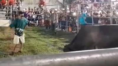 VIDEO: Toro lanza por los aires a espectador intruso