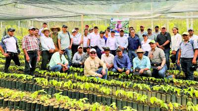 <b>El sector cacaotero está recuperando el protagonismo en producción y capacitándose para recuperar terreno.</b>