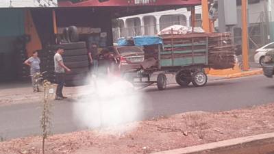 VIDEO: Caballo muere en pleno casco urbano de San Pedro Sula