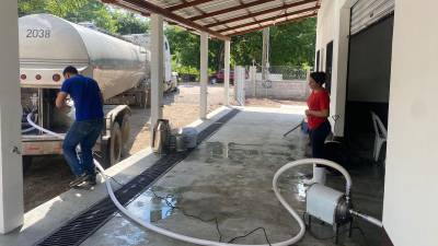 Productores garantizan que 1,500 litros serán producidos a diario en la zona del valle de Copán.