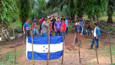 <b><span class=mln_uppercase_mln>daños.</span></b> Campesinos y grupos armados mantienen las fincas invadidas en el Bajo Aguán.<span class=mln_uppercase_mln> </span>