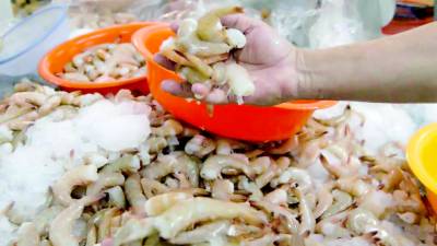 No hay nuevos mercados para su producción.