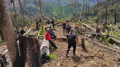 Esta parte fue talada para convertirla en potrero. La ganadería extensiva es común en las comunidades de esta montaña.