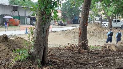 Las autoridades policiales revelaron la tarde de este miércoles la identidad del hombre que fue asesinado en la colonia Pastor Zelaya de San Pedro Sula.