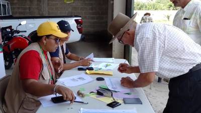 En el 2023, mediante el Bono Cafetalero se beneficiaron a uno 98,500 productores con la entrega de fertilizantes.