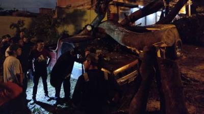 Un enorme árbol destruyó dos carros en la quinta entrada de la colonia Kennedy, después de ceder debido a las lluvias.