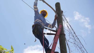 La Empresa Nacional de Energía Eléctrica (Enee) realizará este sábado 19 de septiembre trabajos de mantenimiento, emergencia e instalación de cable XLPE en distintos circuitos y subestaciones de Cortés, Colón, Francisco Morazán, Comayagua, Intibucá, La Paz, Copán, Lempira y Ocotepeque, por lo que varios sectores permanecerán sin energía durante diferentes horarios.