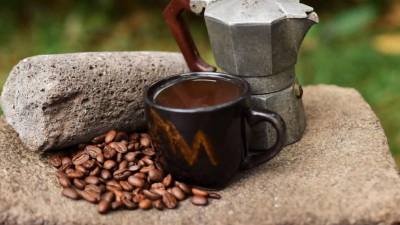 El paraíso del café y cacao: Ecofinca Luna del Puente, un santuario natural rodeado de bosques y biodiversidad.