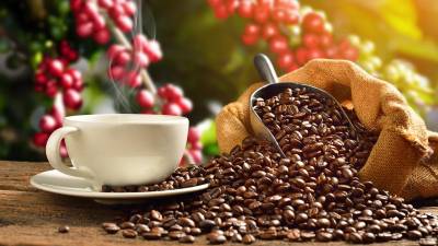 El proceso del café es fascinante y abarca diversas etapas.