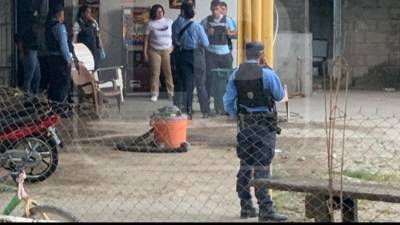 Vista de donde ocurrió el hecho.