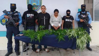 La pareja detenida junto a la marihuana que tenían plantada en el solar de su casa.