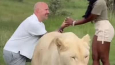 La muerte de la querida influencer Ashlee Jenae ha generado mucha controversia en el mundo del espectáculo debido a que su deceso se da en extrañas circunstancias y a horas de haber celebrado su cumpleaños número 31 y de haber anunciado su compromiso con su novio Joe McCann.