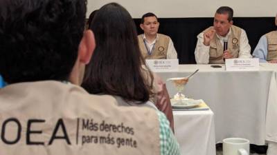 Misión de observadores electorales de la OEA.