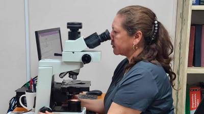 <b><span class=mln_uppercase_mln>análisis.</span></b> Lesly Rodríguez,técnica en citología del Rivas.<span class=mln_uppercase_mln> </span>