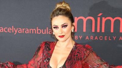 La actriz Aracely Arámbula.