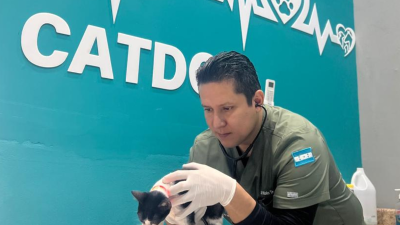 Veterinario dando atención a mascota.